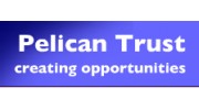 The Pelican Trust Ltd